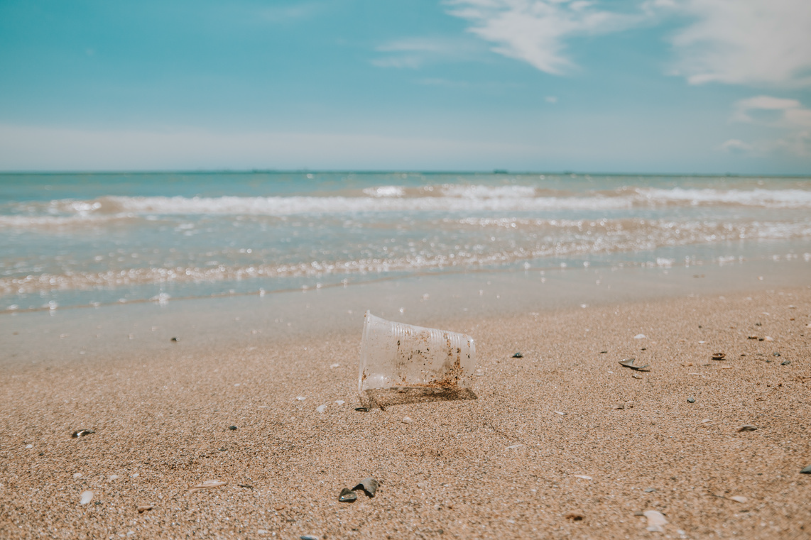 plastic cup on the shore